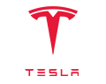 Search TESLA vehicles